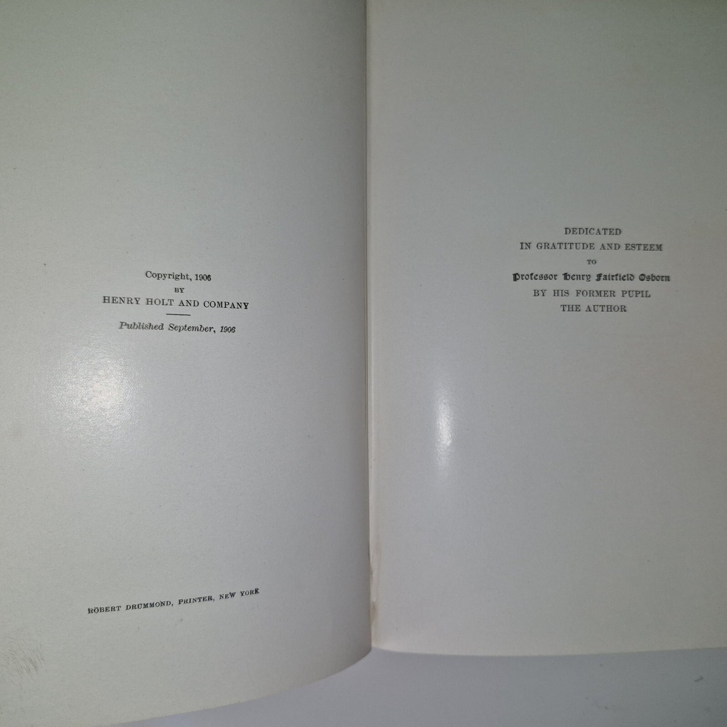 The Bird Its Form And Function By C. William Beebe 19079