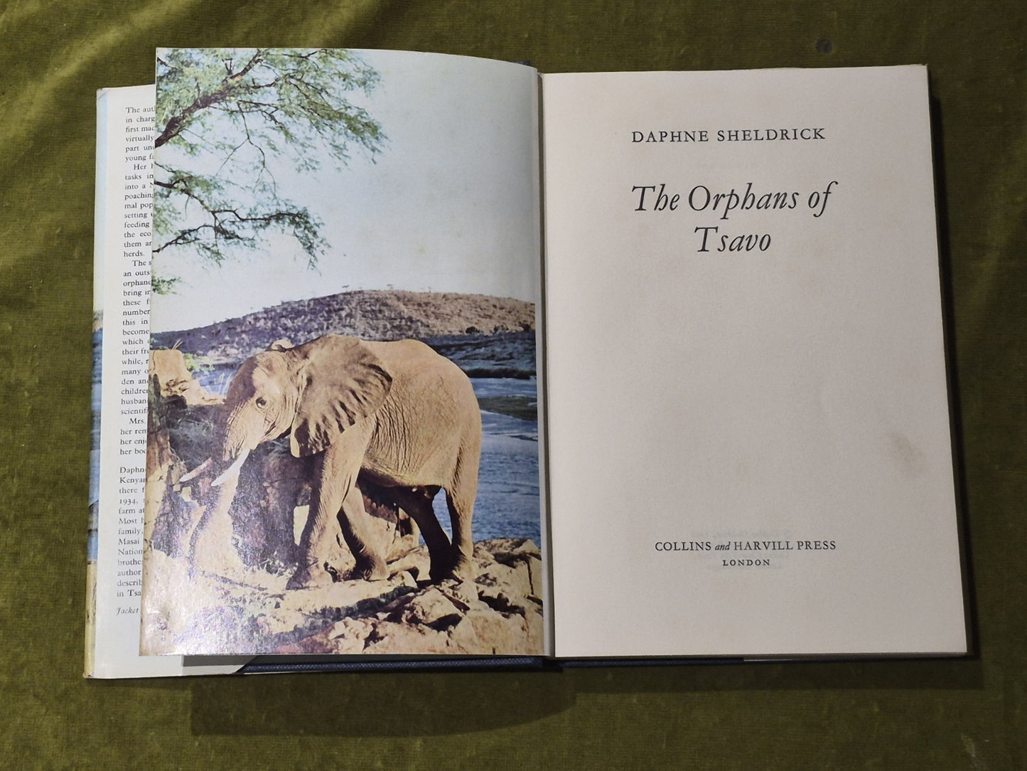 Daphne Sheldrick - The Orphans of Tsavo - 1966 Collins 1st Ed HB DJ5