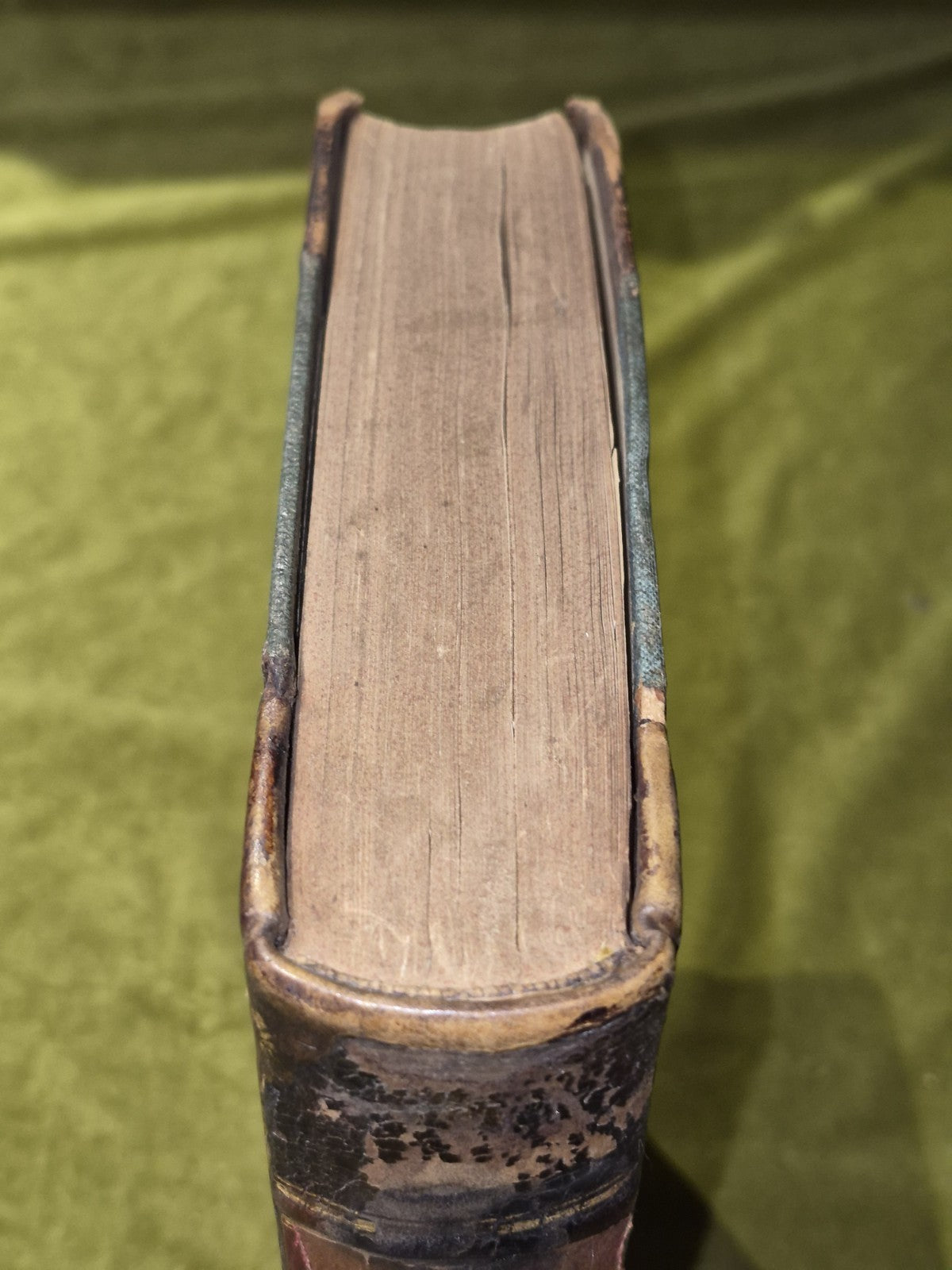 Stray Feathers Ornithology in India volume 10 X Calcutta Central Press2