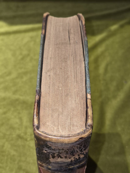 Stray Feathers Ornithology in India volume 10 X Calcutta Central Press2