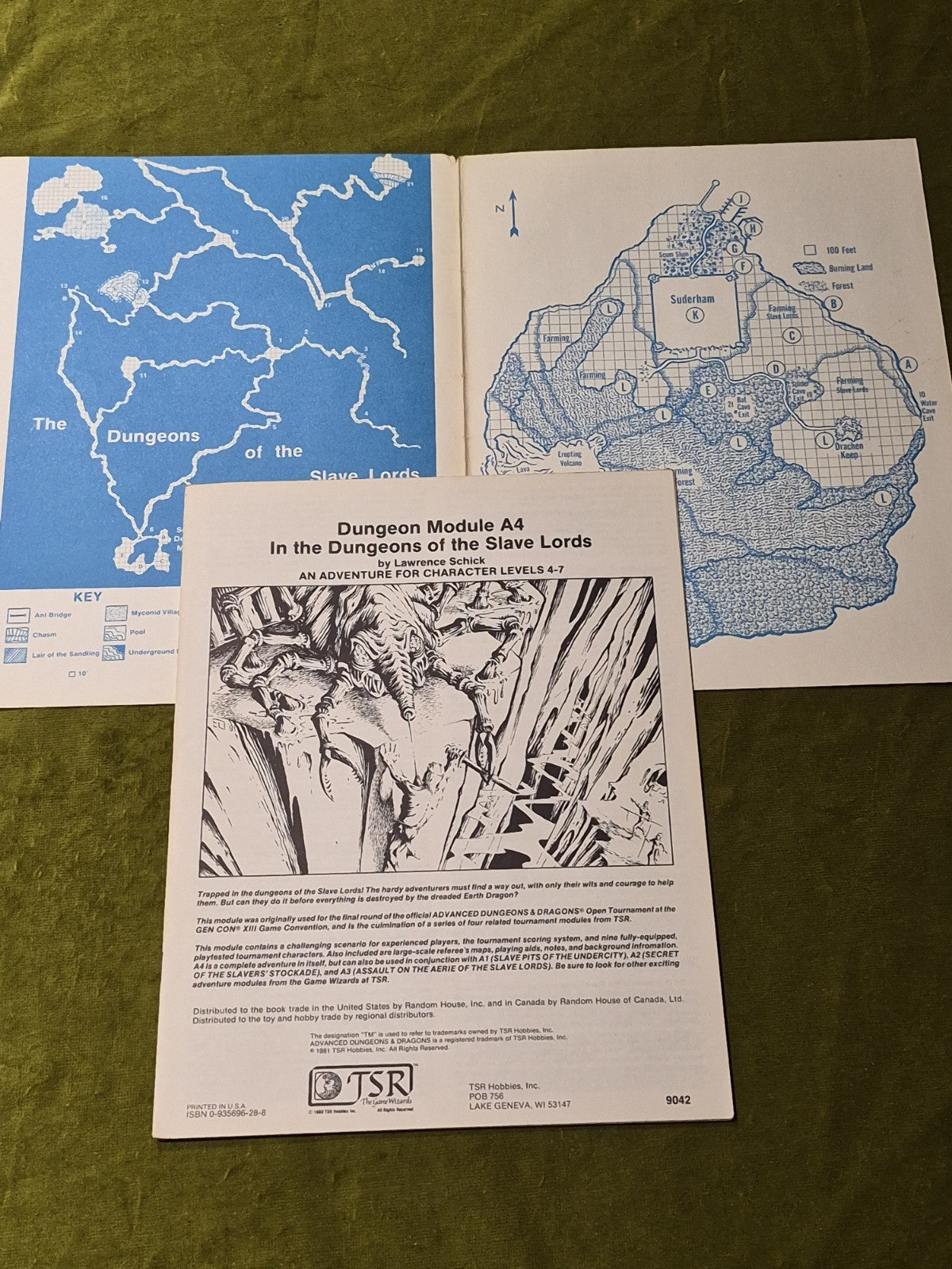 ADVANCED DUNGEON & DRAGONS  IN THE DUNGEONS OF THE SLAVE LORDS A4  1981 TSR 90422