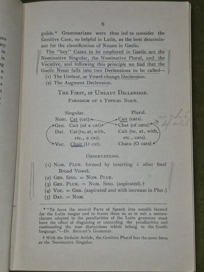 Modern Gaelic A Basic Grammar Alexander Nicolson 19456