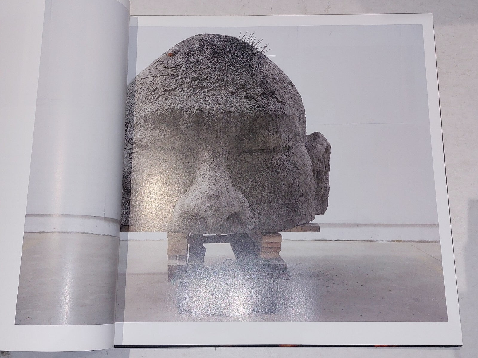 The Revolution Continues: New Art from China, The Saatchi Gallery (2008) 1st Ed4