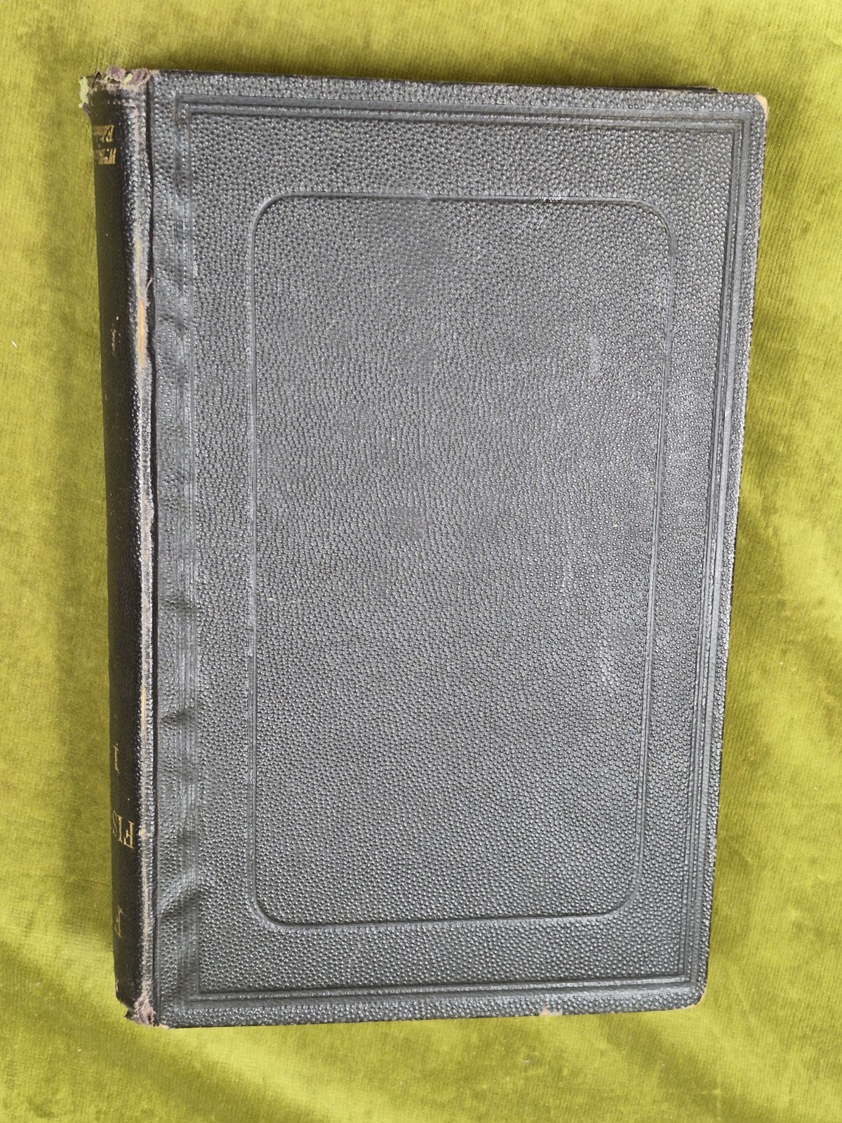 Fish and Fisheries a selection Prize Essays 1883 David Herbert1