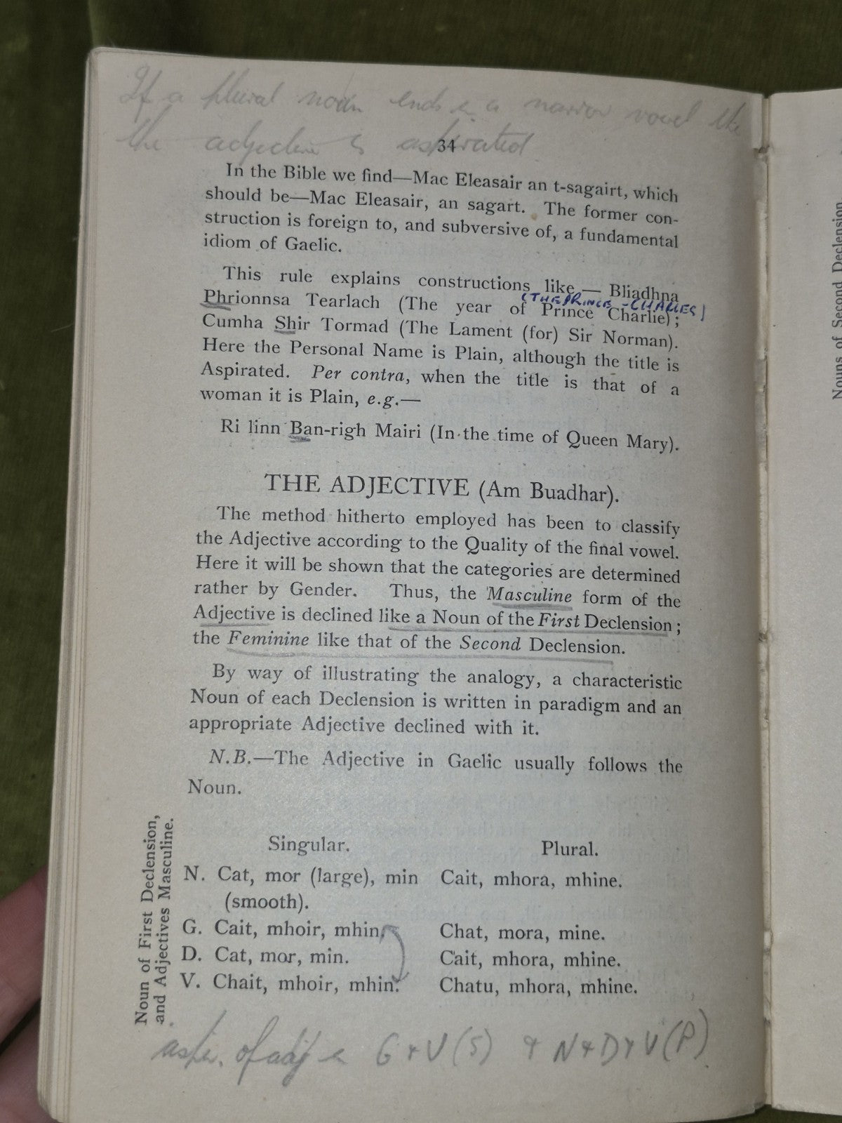 Modern Gaelic A Basic Grammar Alexander Nicolson 19459
