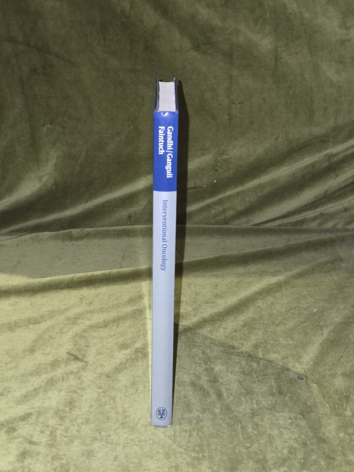 Interventional Oncology (Practical Guides in Interventional Radiology) - Thieme2