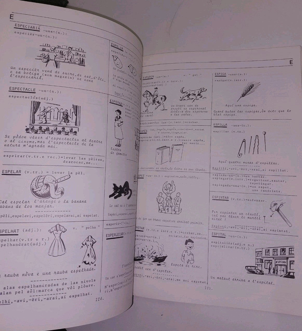 Diccionari Fondamental Occitan Illustrat  Lengadocian  De cantalausa Joan 5