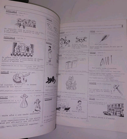 Diccionari Fondamental Occitan Illustrat  Lengadocian  De cantalausa Joan 5