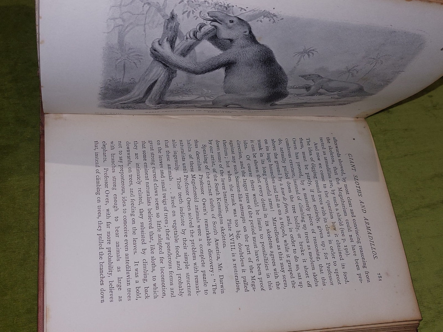 Extinct Monsters  Rev H N Hutchinson (1897) [Chapman & Hall] 5th Ed Hb Book8