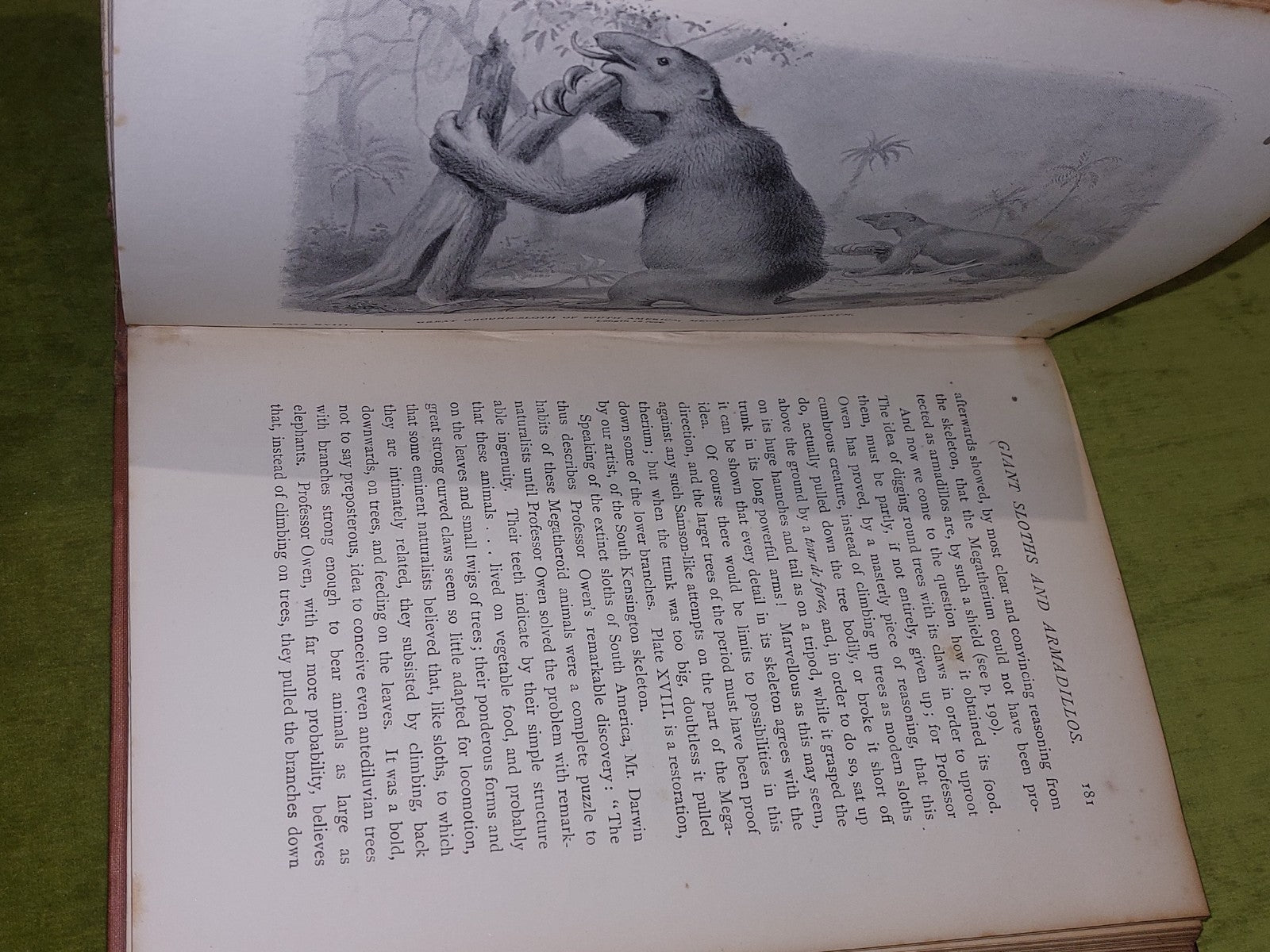 Extinct Monsters  Rev H N Hutchinson (1897) [Chapman & Hall] 5th Ed Hb Book8