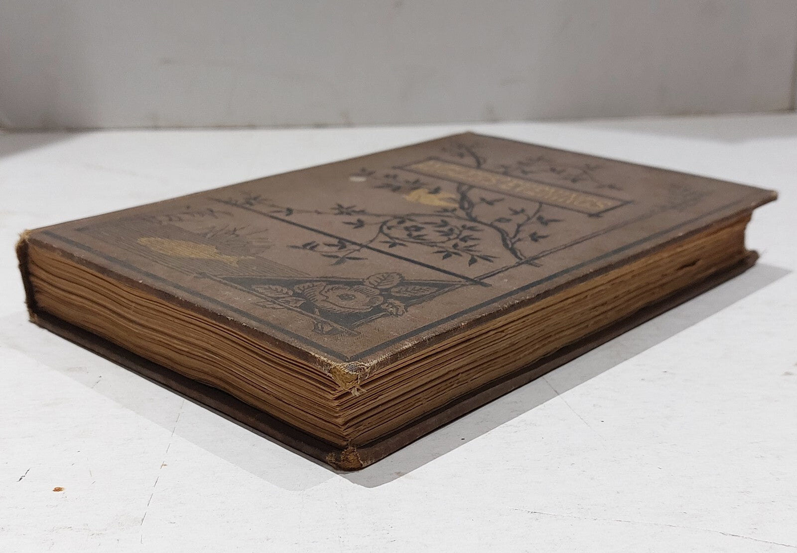 Anglers' Evening (1880) 1st Edition Manchester Anglers' Association 5