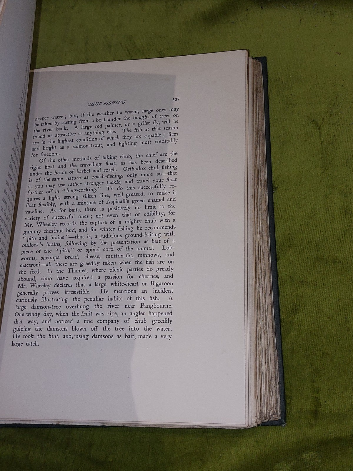 British FreshWater Fishes by Sir Herbert Maxwell (1904) [Hutchinson & Co] Hb5
