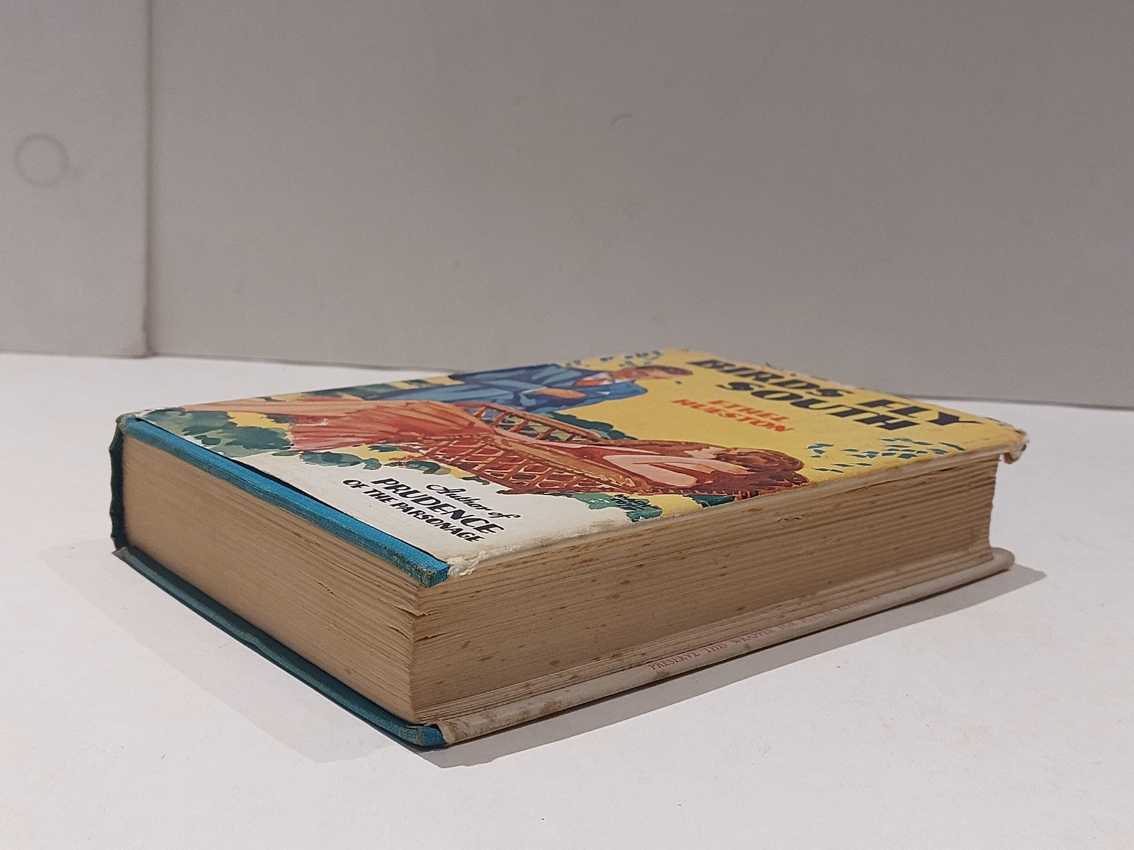 Birds Fly South by Hueston, Ethel 1930 [Grosset & Dunlap] Hb With Dustjacket 7