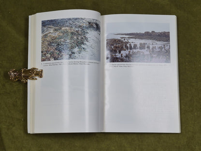 Marine Algae of Northern Ireland - Osbourne Morton , Ulster Museum 1994 PB6