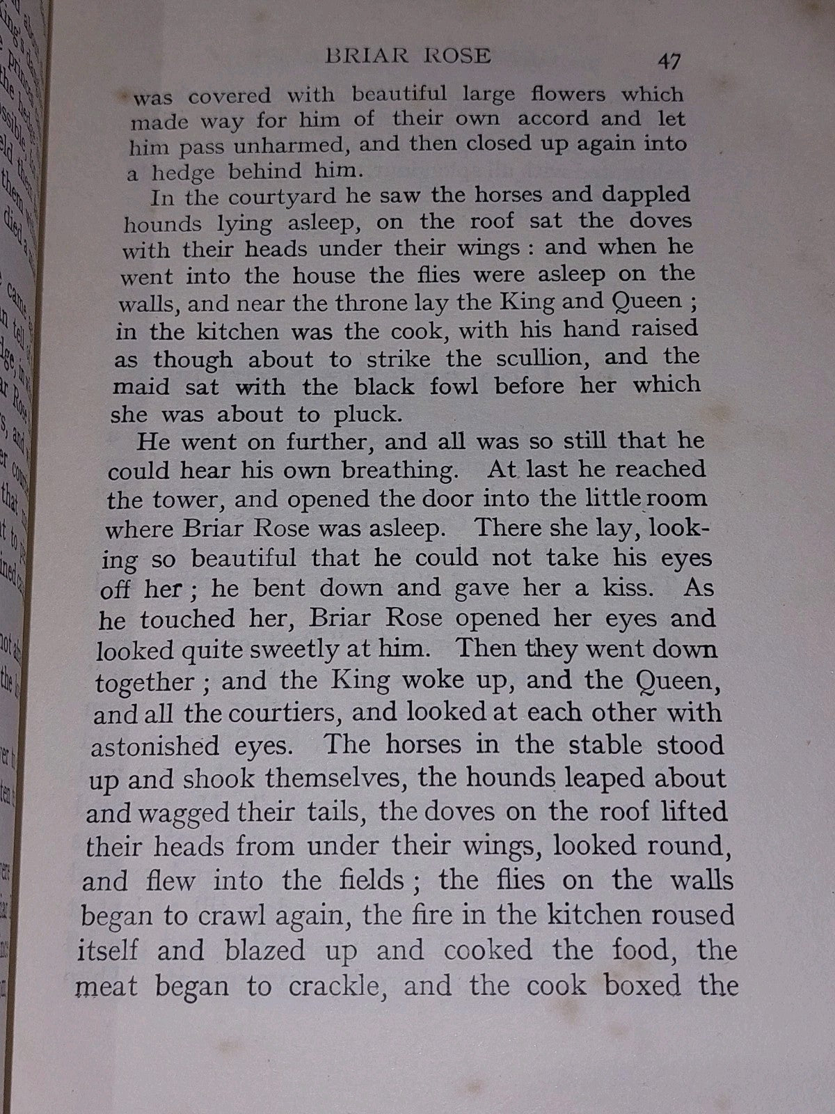 Fairy Tales Of The Brothers Grimm Edgar Lucas 1911 Illustrated By Arthur Rackham8