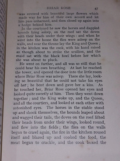 Fairy Tales Of The Brothers Grimm Edgar Lucas 1911 Illustrated By Arthur Rackham8