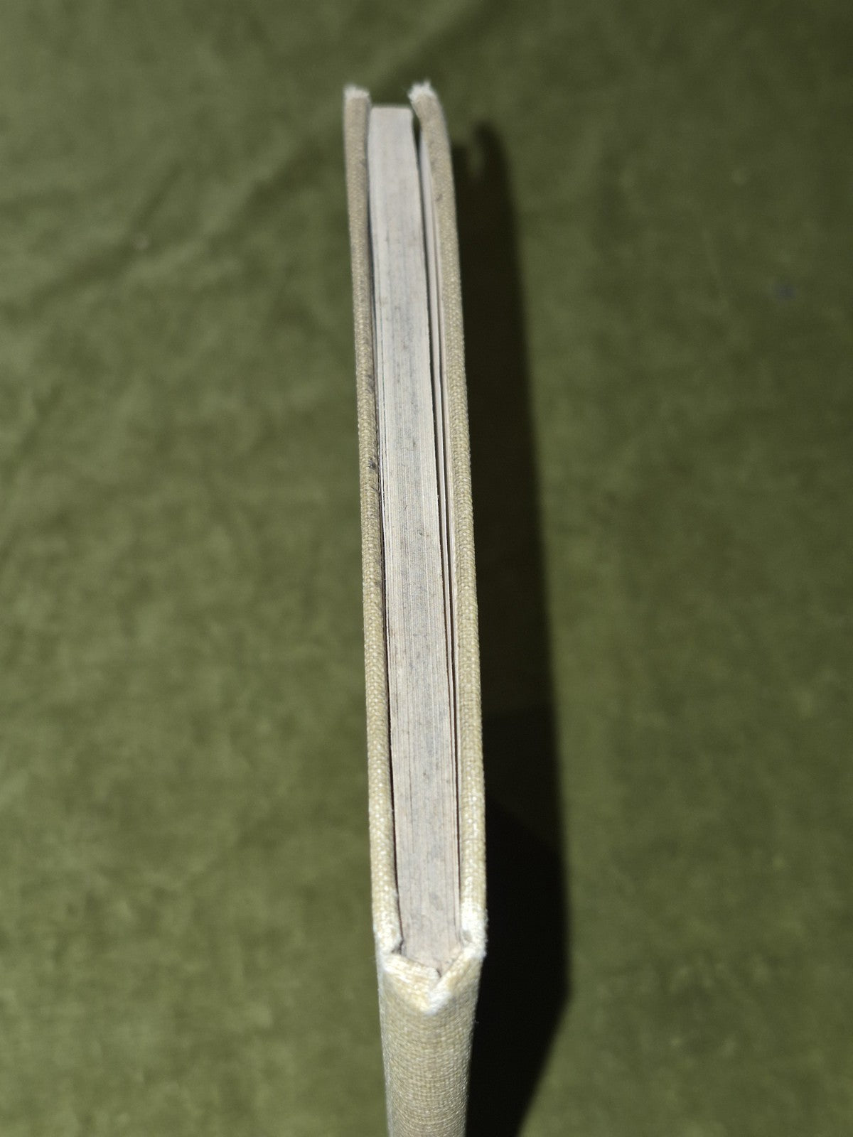 Kelvinside Days Alison Blood 1929 John Smith & Son Glasgow2