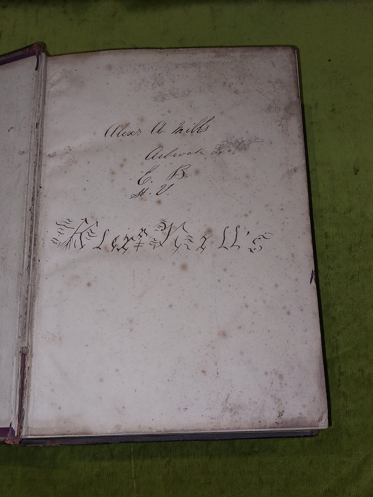The Gardener’s Assistant Practical and Scientific Gardening 1878 Thompson Moore2