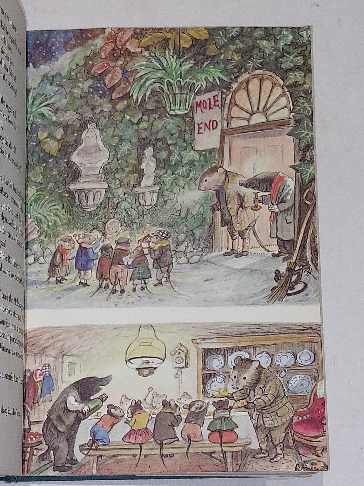 The Wind In The Willows Kenneth Grahame 1st Colour Edition Ernest H Shepard 19598