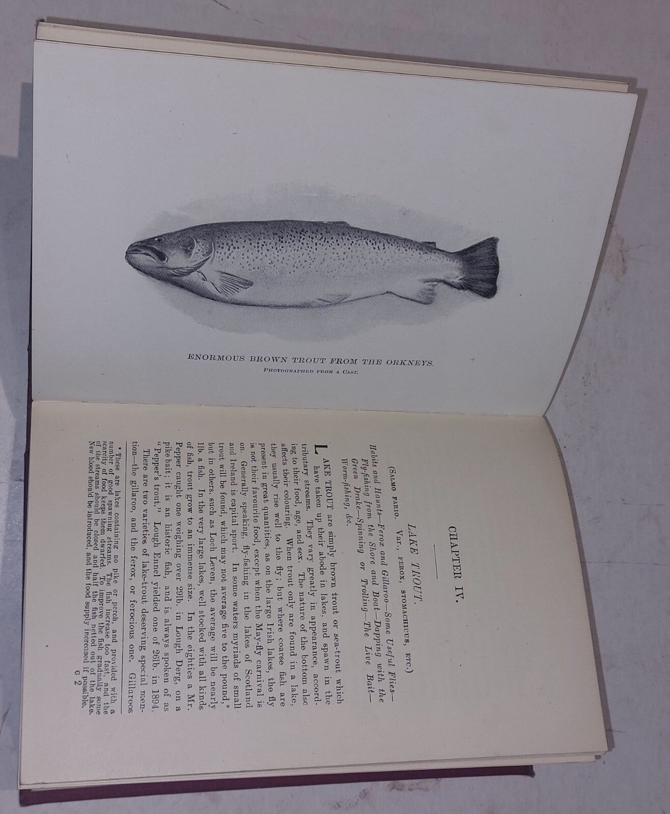  John Bickerdyke - The Book of the All-Round Angler - Vintage HardBack Book 5