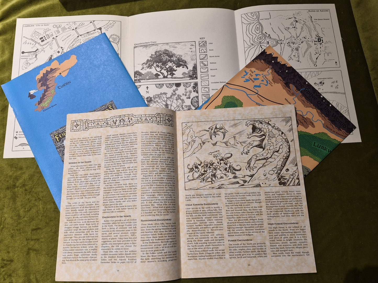 FR5 The Savage Frontier Forgotten Realms Advanced Dungeons Dragons AD&D2