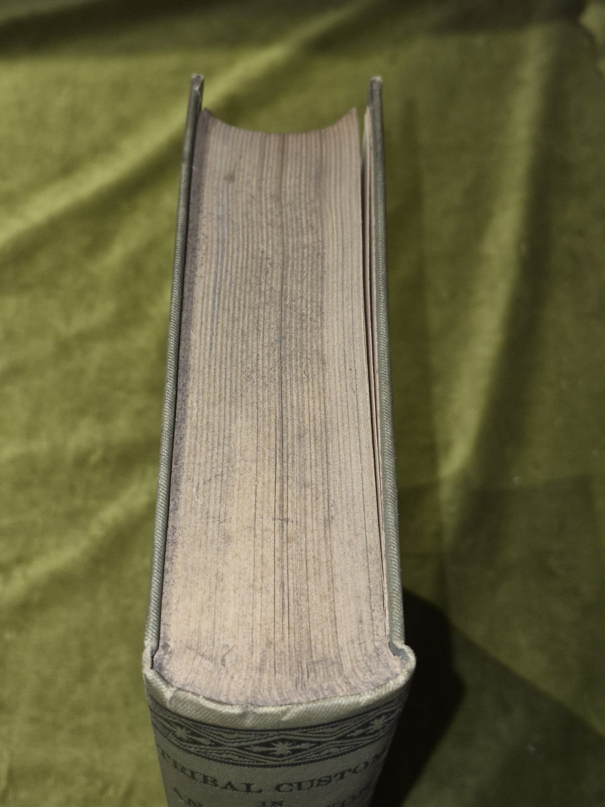 Tribal Custom in Anglo Saxon Law Frederic Seebohm 19112