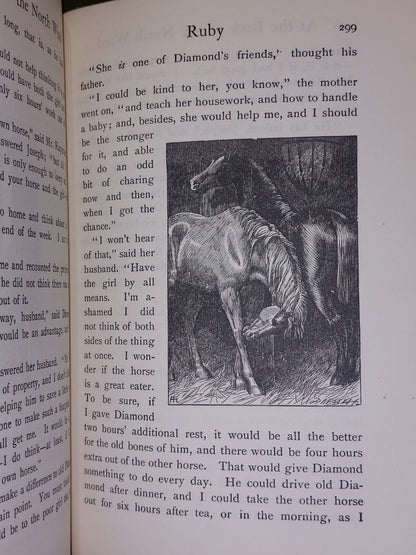 AT THE BACK OF THE NORTH WIND George Macdonald (c. 1925)7