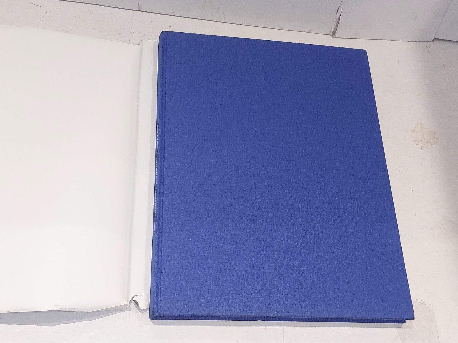 francisco de goya - grabador - instantaneas - caprichos (1992) madrid hb book2