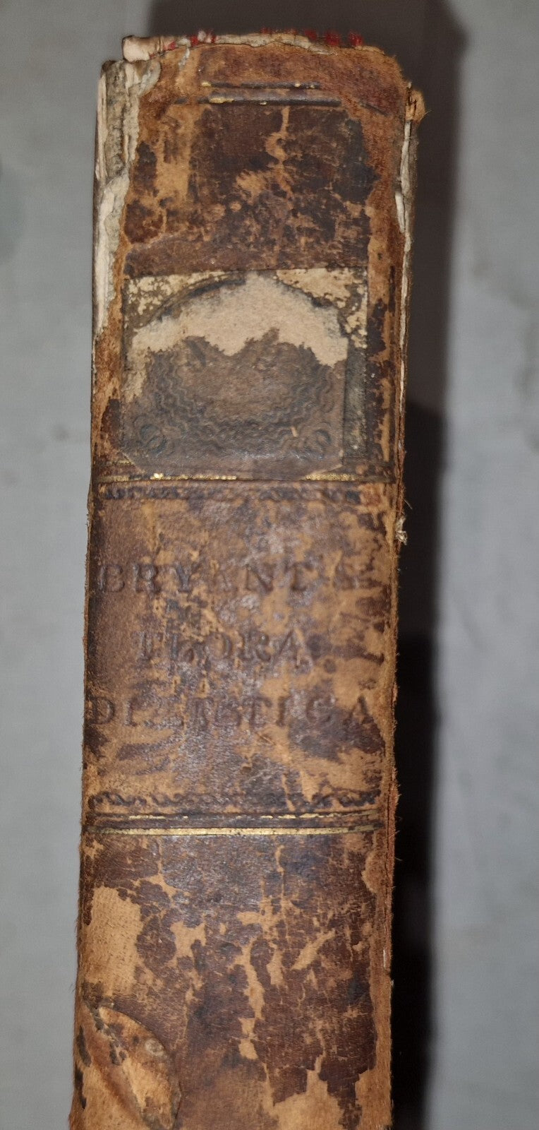 1783 Flora Diaetetica or History of Esculent Plants By Charles Bryant 1st Editn17