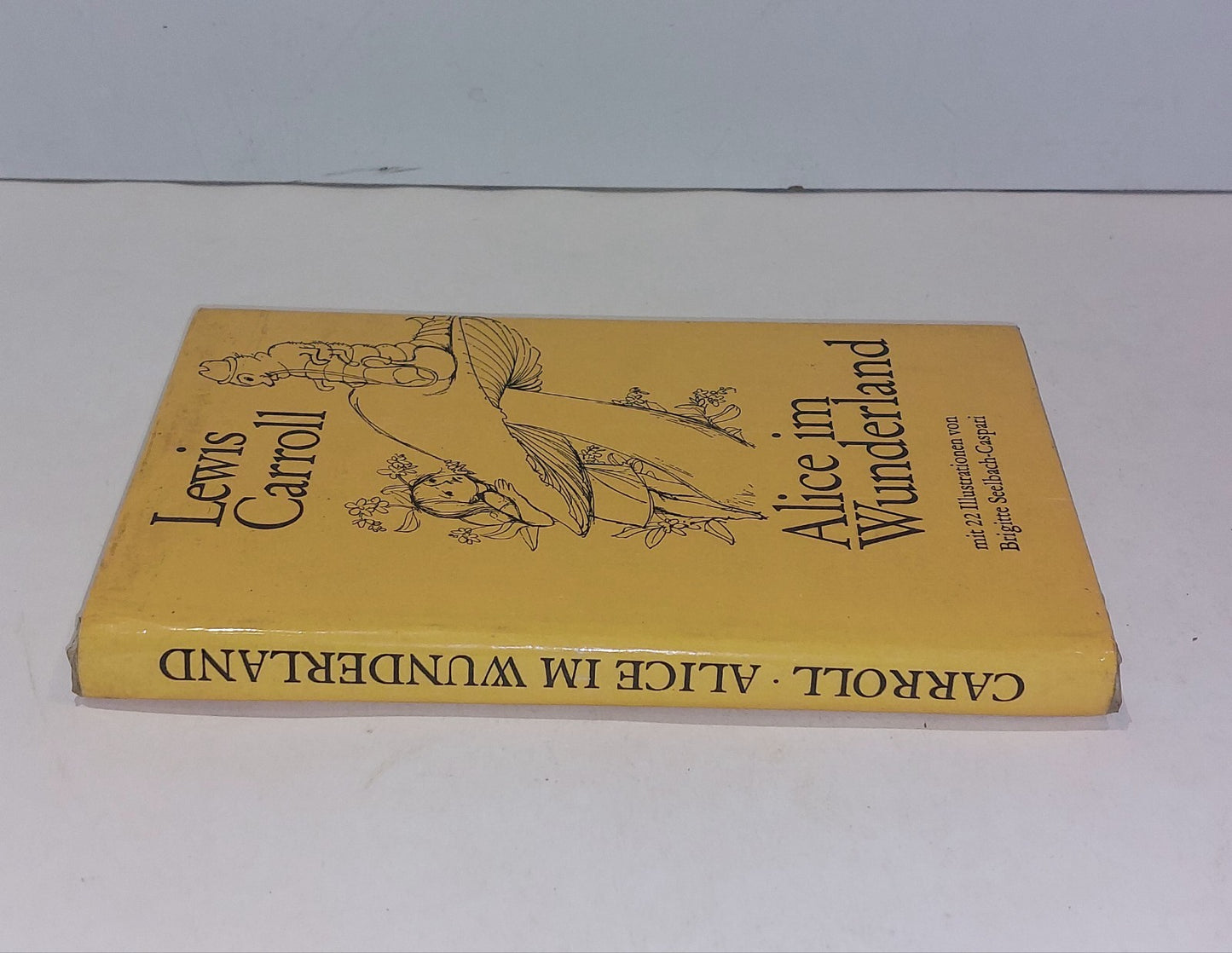 Alice im Wunderland mit 22 illustrationen von Brigitte SeelbachCaspari Hb Book1