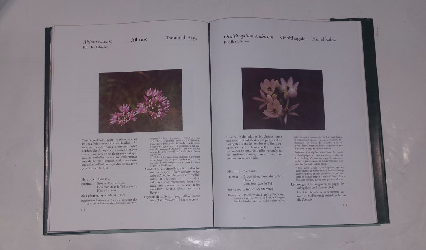 Fleurs D'Algerie By NT et WS Beniston, Enterprise Nationale du Livre Book2