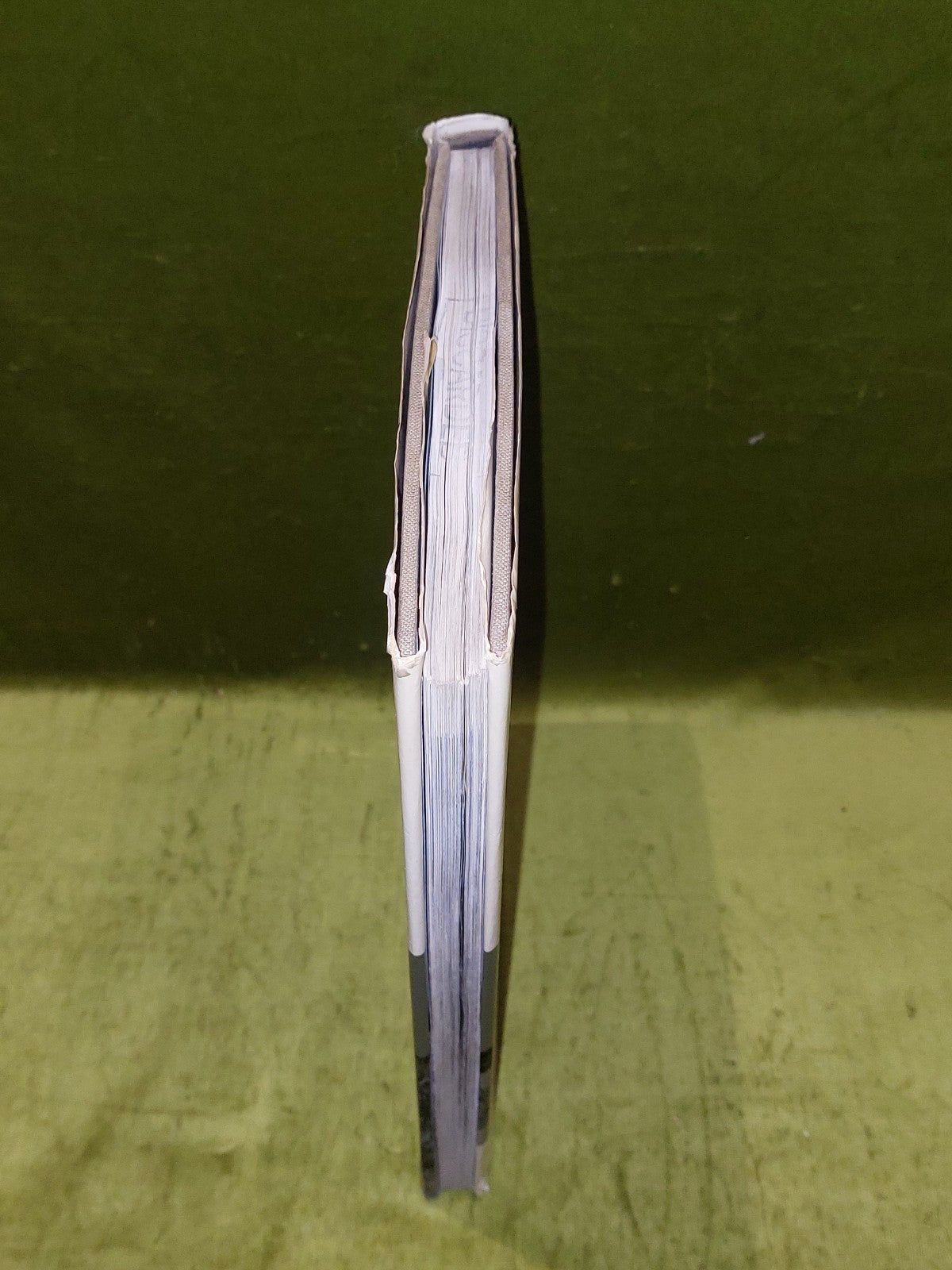 The Japanese Movie an Illustrated History (1966 Second Printing) Donald Richie1