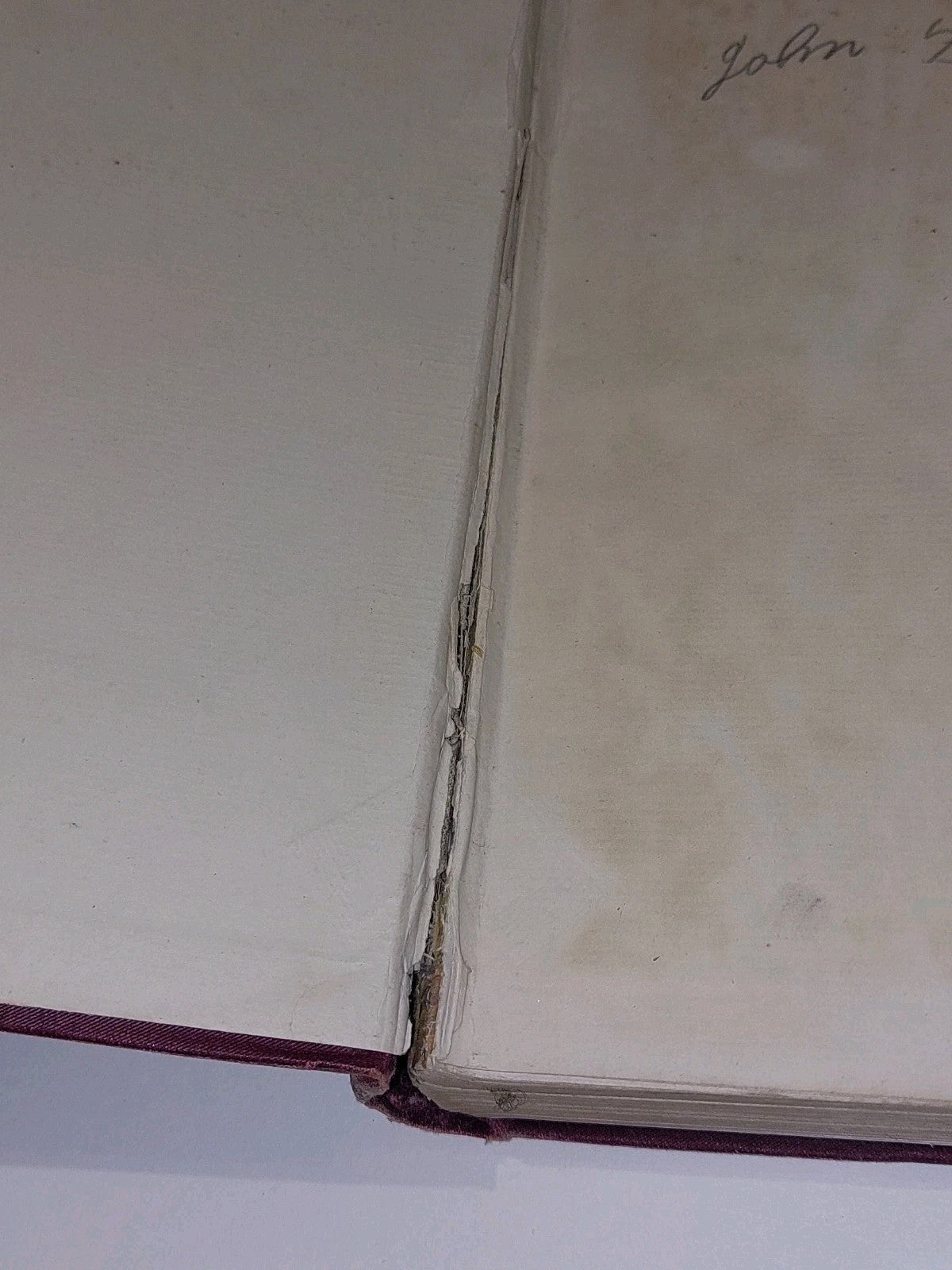 Evolution in Art by Alfred C. Haddon First Edition (1895) Havelock Ellis3