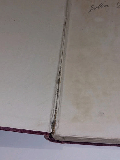 Evolution in Art by Alfred C. Haddon First Edition (1895) Havelock Ellis3