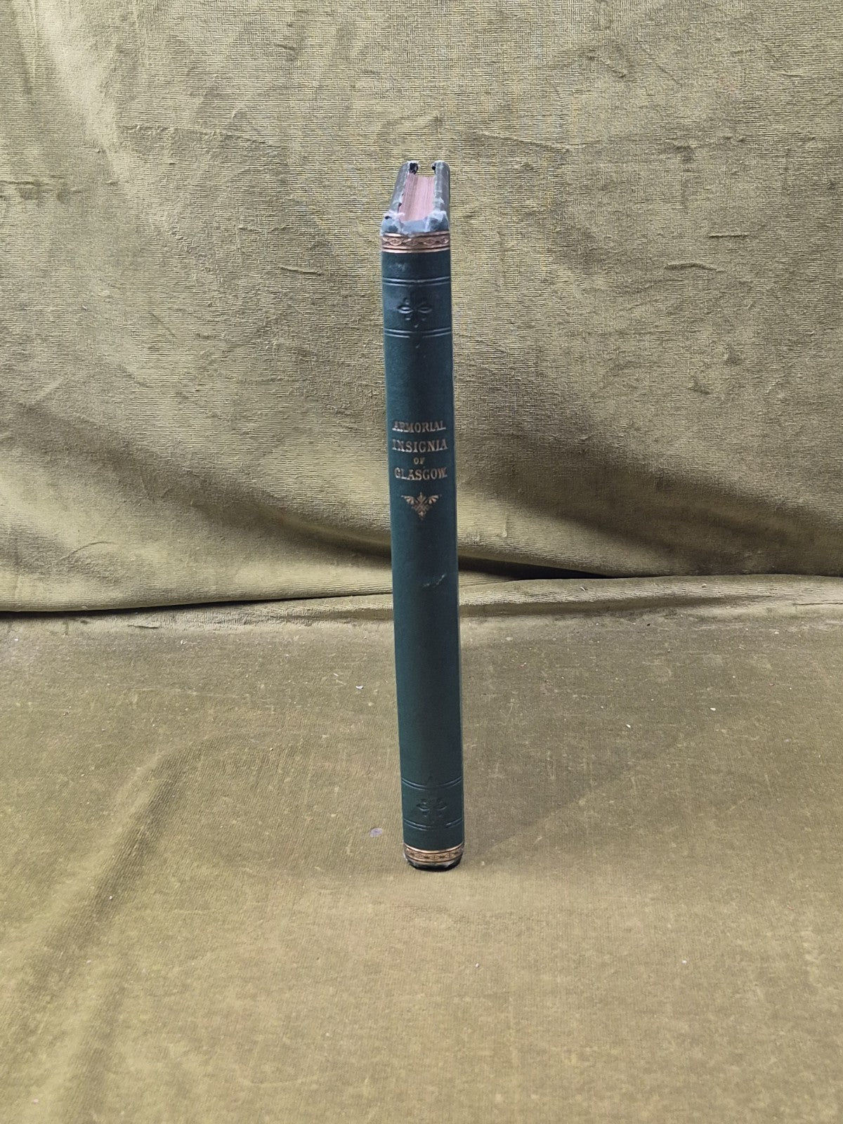 1866 ARMORIAL INSIGNIA OF GLASGOW History GLASWEGIAN HERALDRY Presentation Copy2