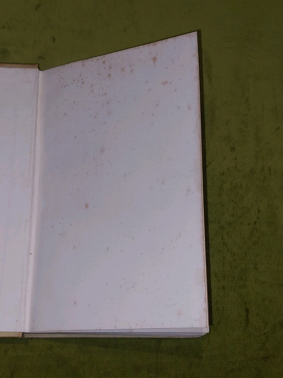 William S Burroughs The Naked Lunch John Calder & Olympic Press (1964)2