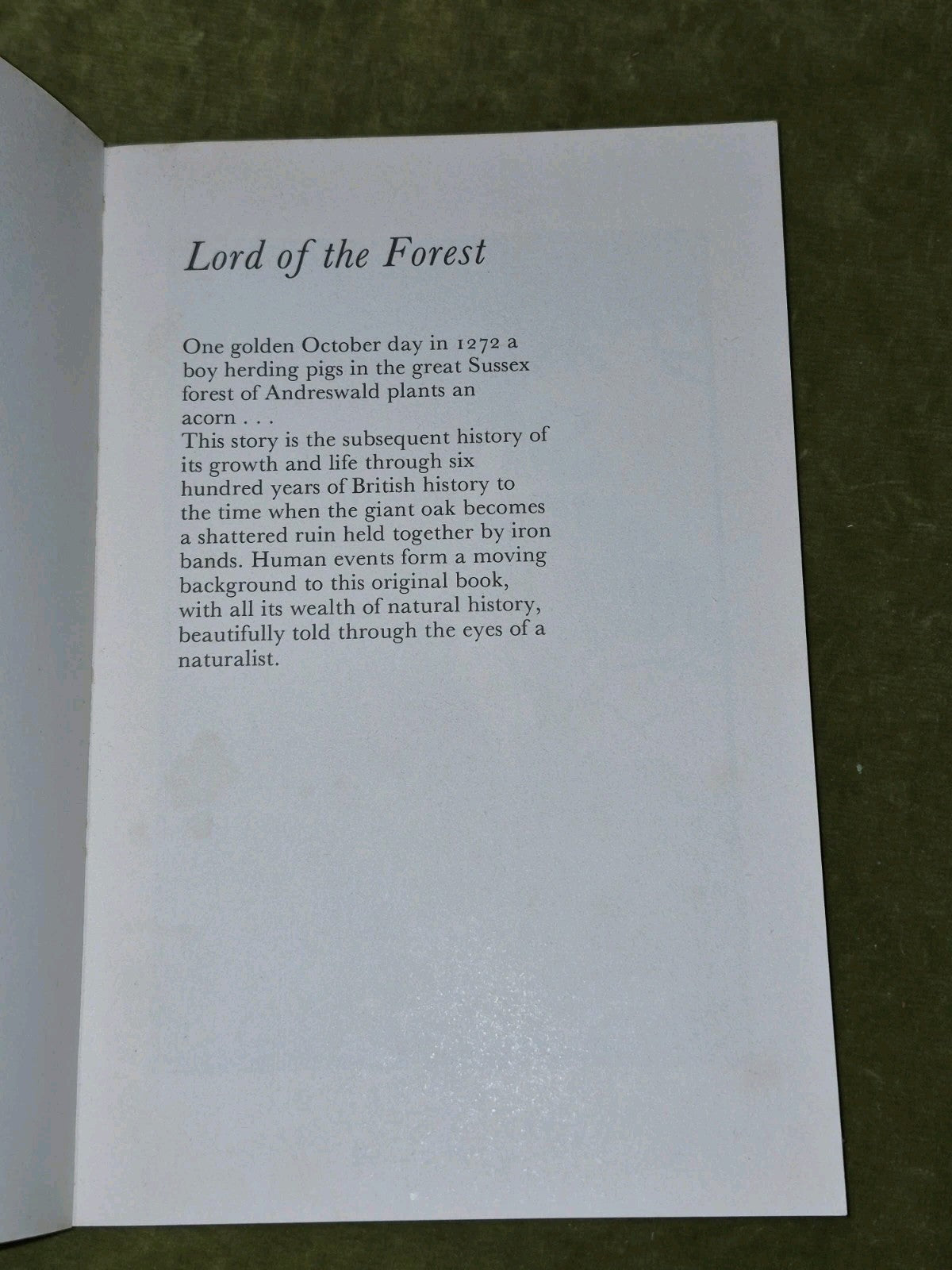Lord Of The Forest BB 1975  First Edition3