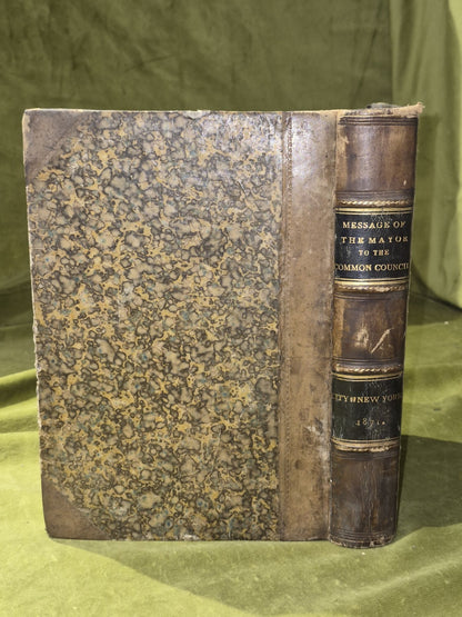 Message of the Mayor to the Common Council of the City of New York 18711
