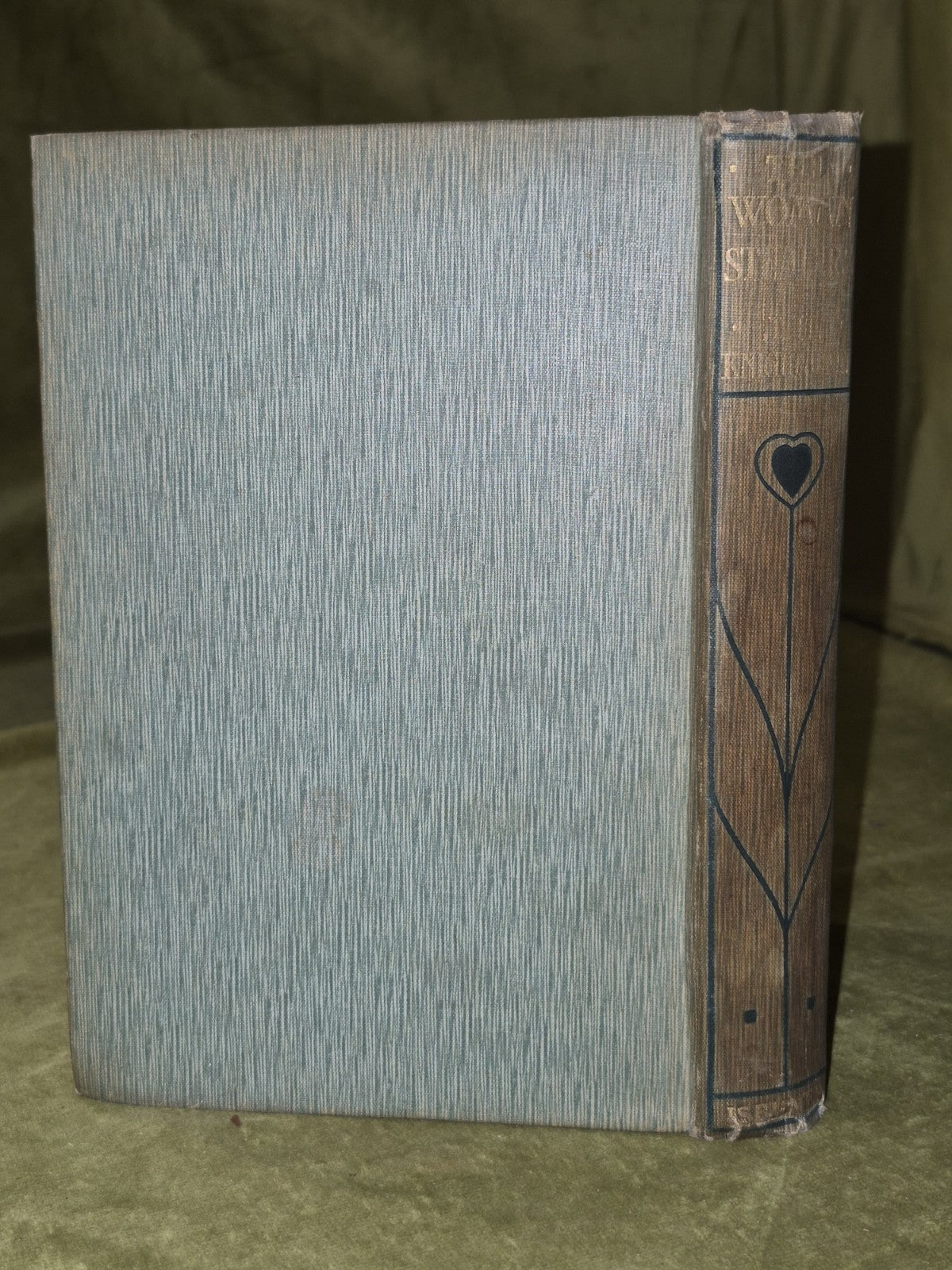 The Woman-Stealers House of The Otter Knight-Adkin 1905 Ibister & Company SIGNED1