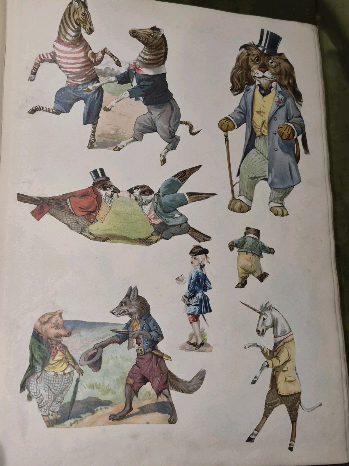 Edwardian Scrapbook Louis Wain & Fashion plates Full 80 pages  ephemera 16x11"11