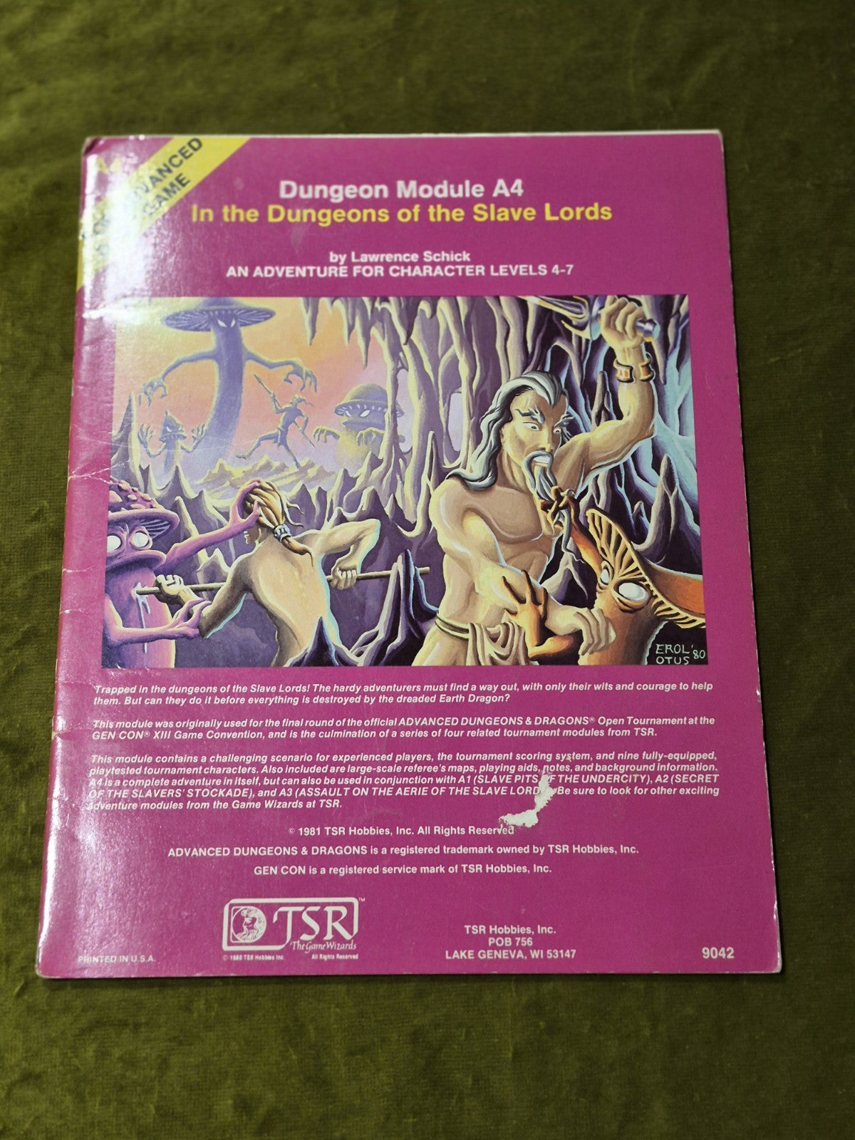 ADVANCED DUNGEON & DRAGONS  IN THE DUNGEONS OF THE SLAVE LORDS A4  1981 TSR 90420