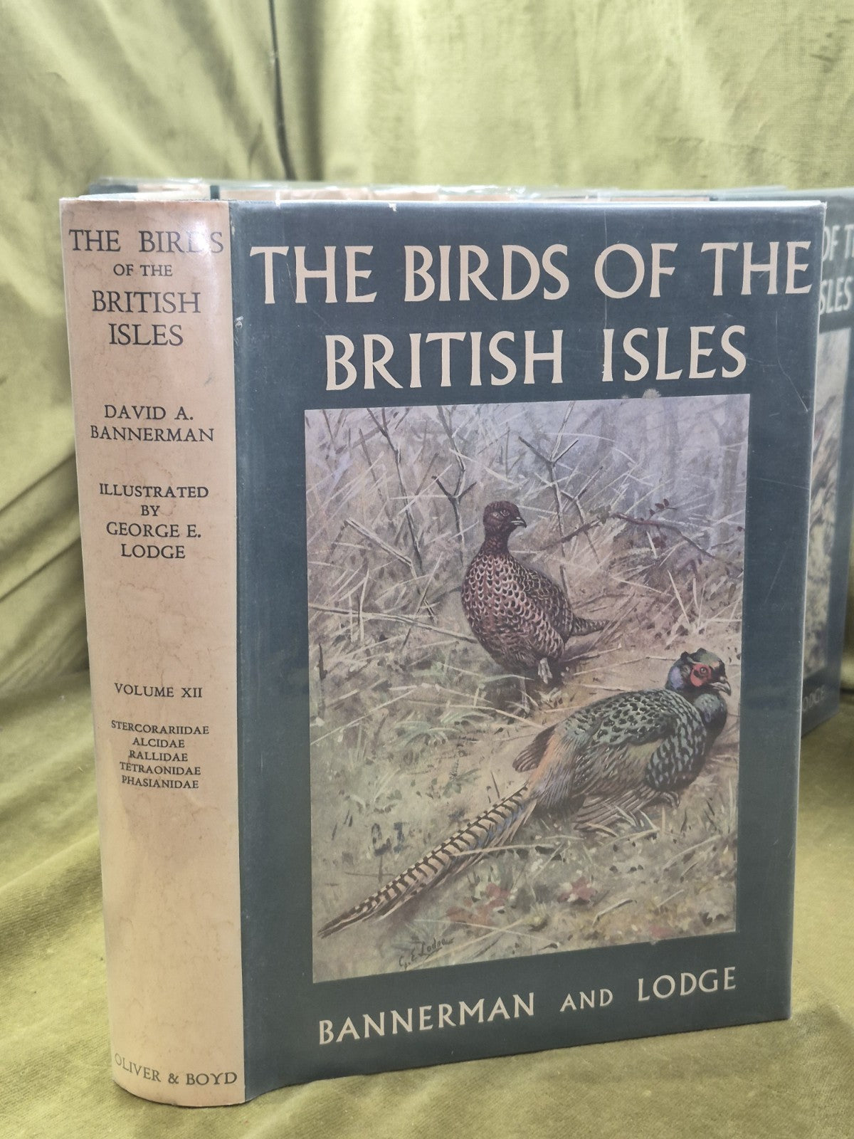 Bannerman The Birds of the British Isles Ornithology  12 Vols 1st Editions DJ13