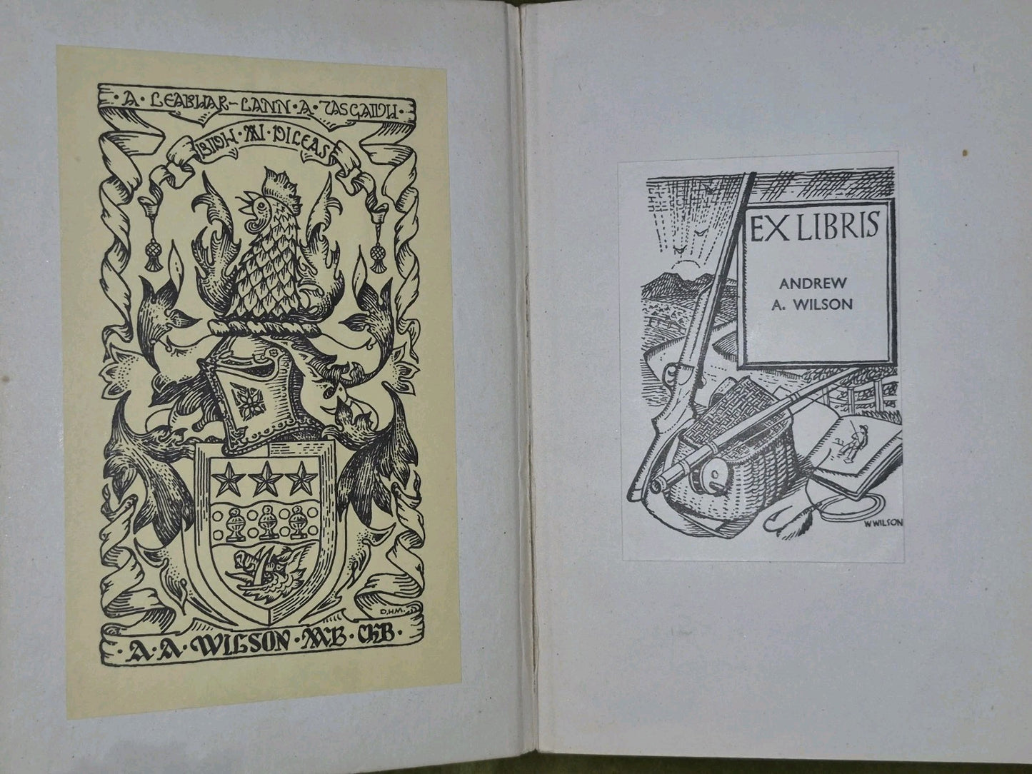 Modern Gaelic A Basic Grammar Alexander Nicolson 19453