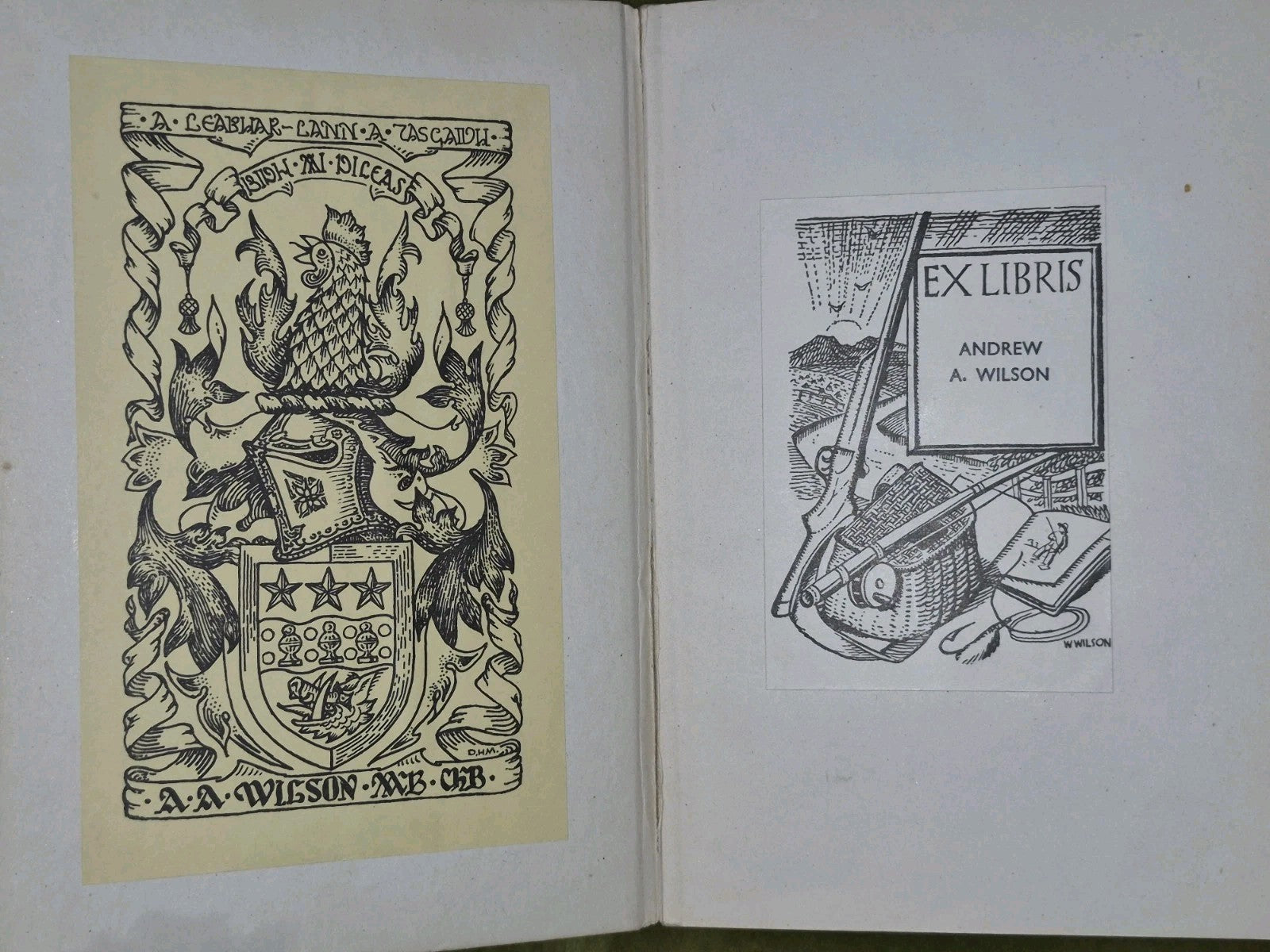 Modern Gaelic A Basic Grammar Alexander Nicolson 19453