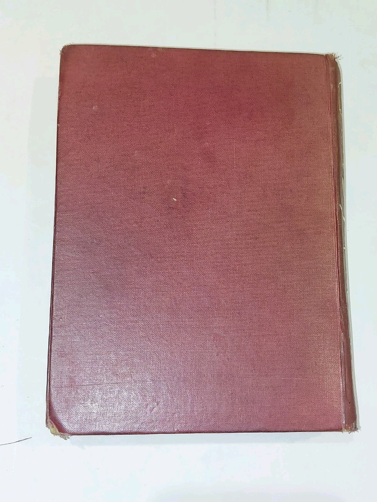 Fairy Tales Of The Brothers Grimm Edgar Lucas 1911 Illustrated By Arthur Rackham1