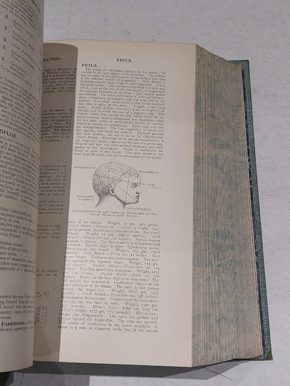Cyclopedia Of Practical Medicine And Surgery By Gould & Walter (1901) Hb Leather10