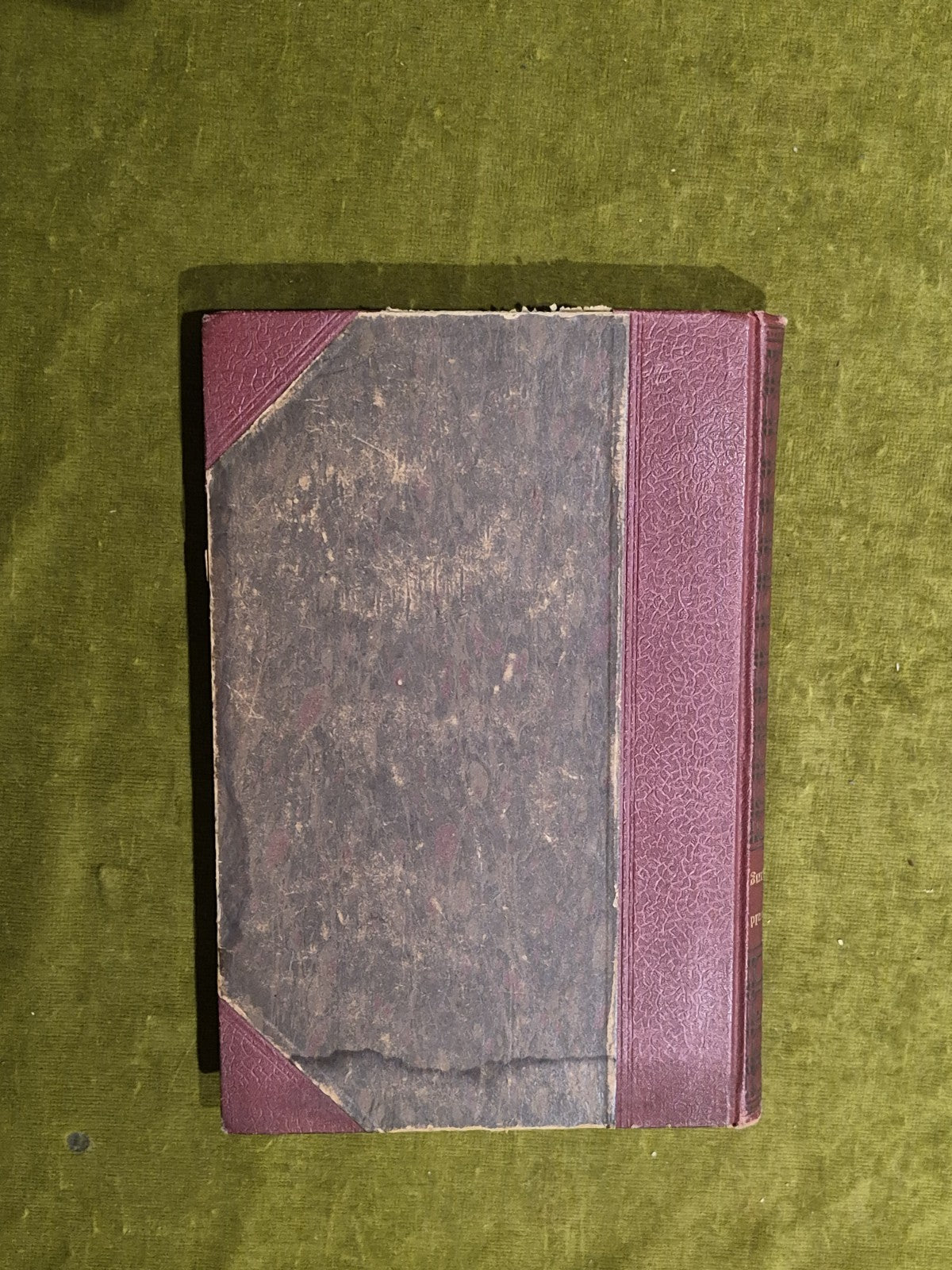 Die Erweckung Selbsterkenntnis Und Weltgestaltung - Oskar Ewald Hofmann 1922 1st1