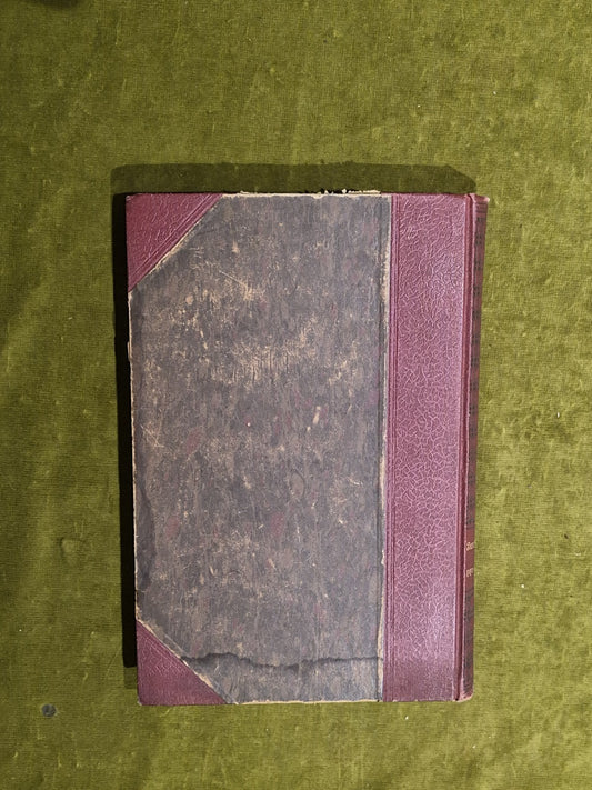 Die Erweckung Selbsterkenntnis Und Weltgestaltung - Oskar Ewald Hofmann 1922 1st1