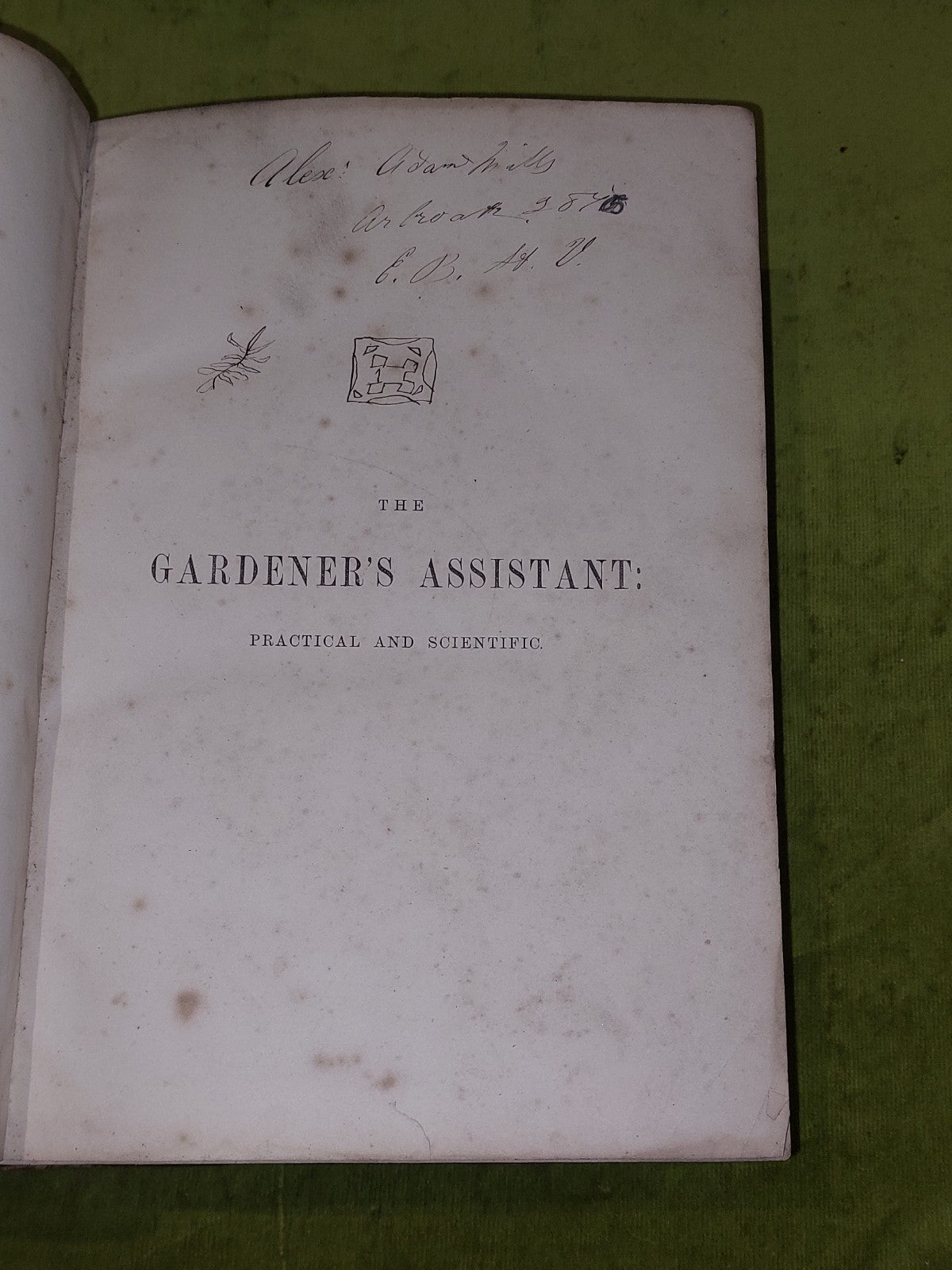 The Gardener’s Assistant Practical and Scientific Gardening 1878 Thompson Moore3