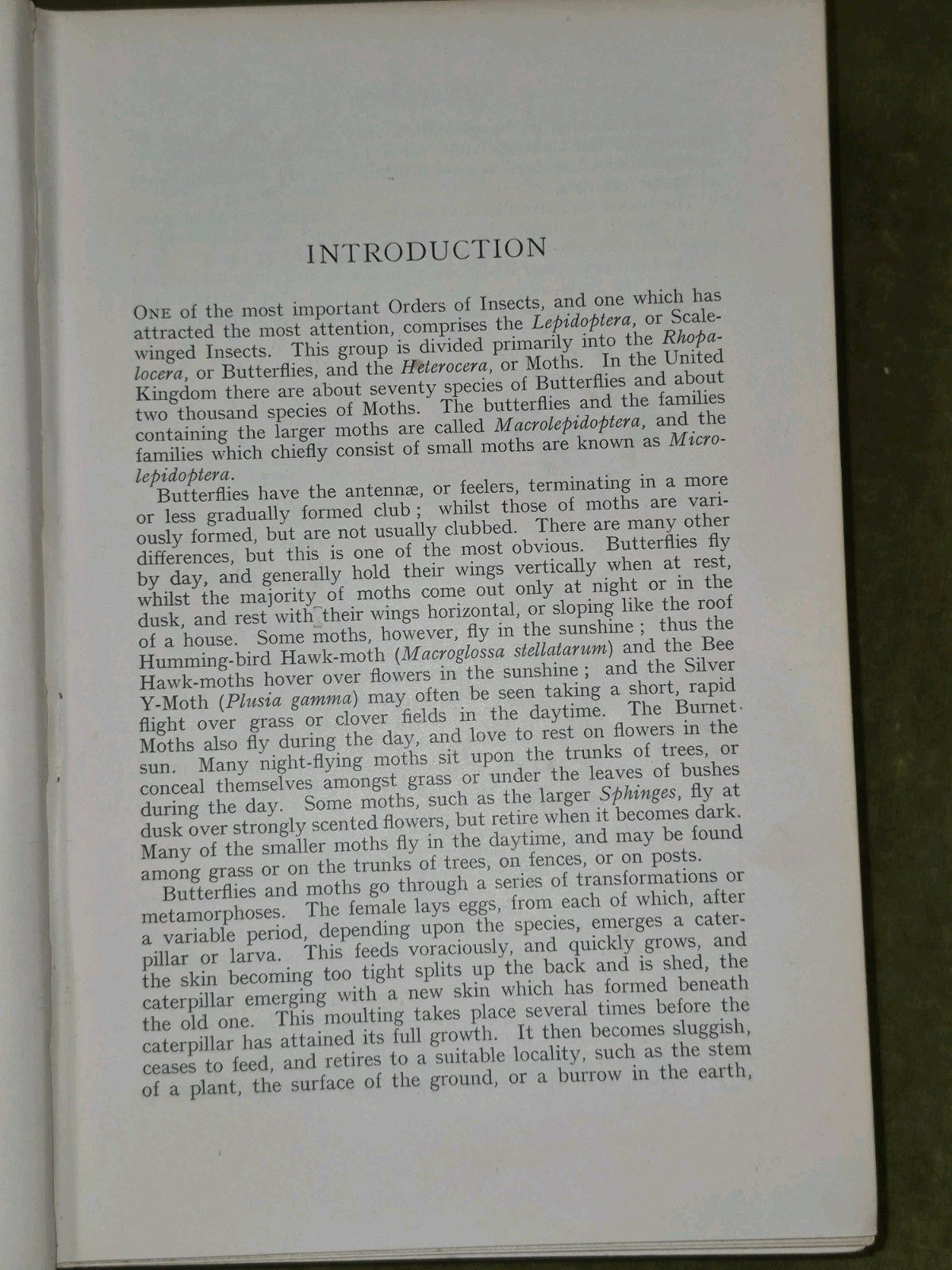 Butterflies & Moths of the United Kingdom Egmont Kirby First Edition Routledge 7